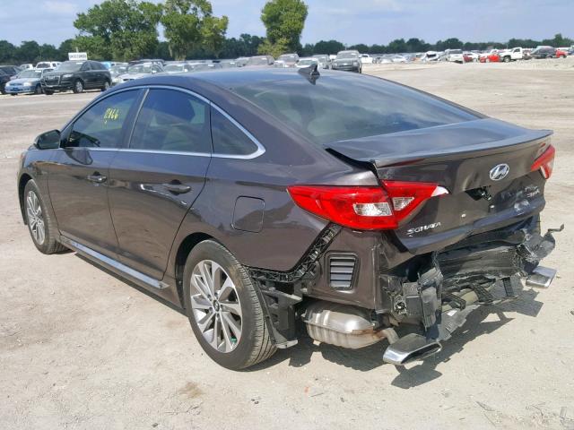 5NPE34AF9GH313861 - 2016 HYUNDAI SONATA SPO BROWN photo 3