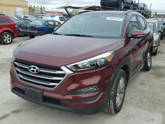 KM8J3CA42HU383924 - 2017 HYUNDAI TUCSON LIM BURGUNDY photo 2