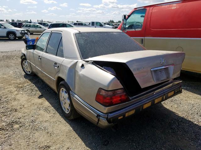 WDBEA32E1SC198228 - 1995 MERCEDES-BENZ E 320 BASE GOLD photo 3