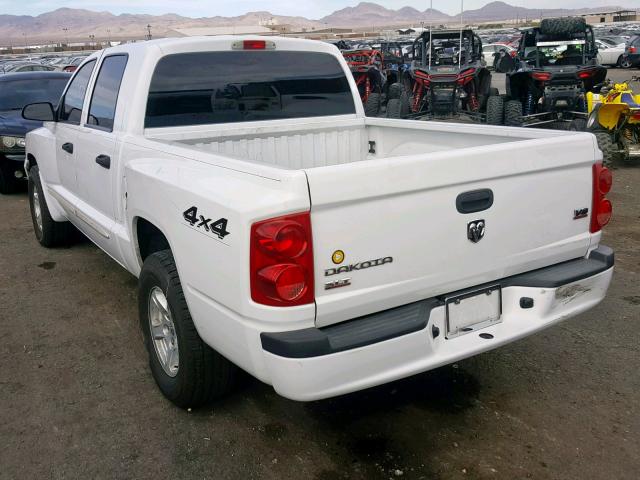 1D7HW48N45S245314 - 2005 DODGE DAKOTA QUA WHITE photo 3