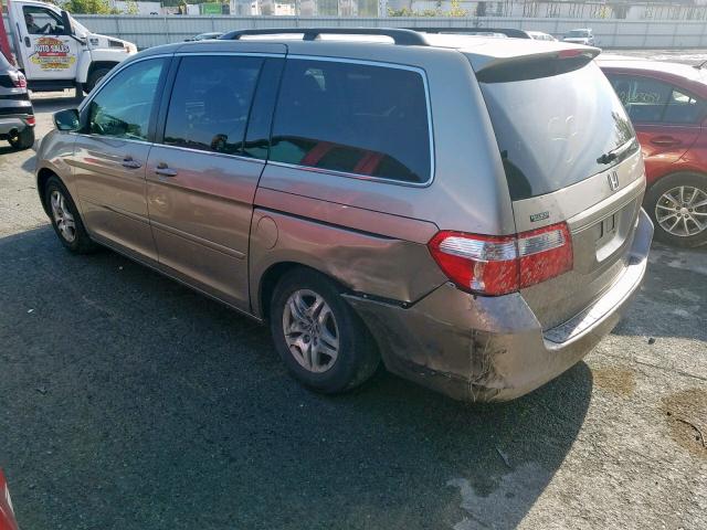 5FNRL38625B026598 - 2005 HONDA ODYSSEY EX TAN photo 3