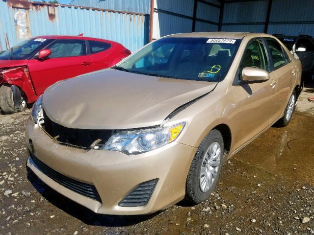 4T1BF1FK2CU507903 - 2012 TOYOTA CAMRY LE A GOLD photo 2