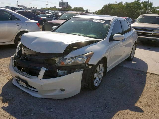 1HGCP3F82AA028290 - 2010 HONDA ACCORD EXL WHITE photo 2