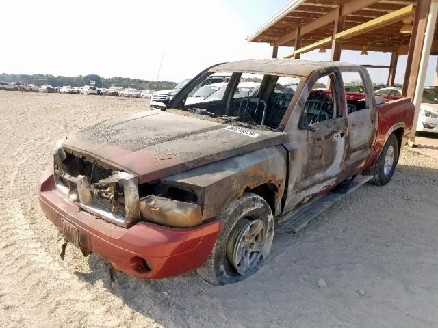 1D7HW48P97S256443 - 2007 DODGE DAKOTA QUA BURN photo 2