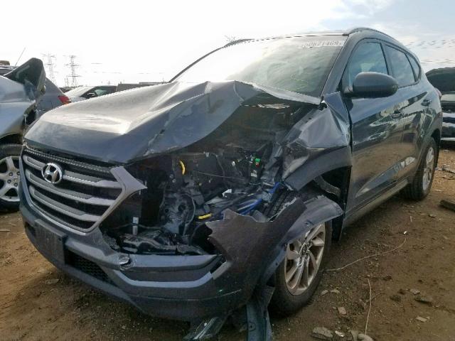 KM8J3CA44GU056911 - 2016 HYUNDAI TUCSON LIM GRAY photo 2