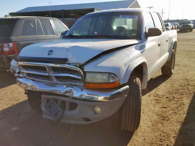 1B7HG48N42S615146 - 2002 DODGE DAKOTA QUA WHITE photo 2