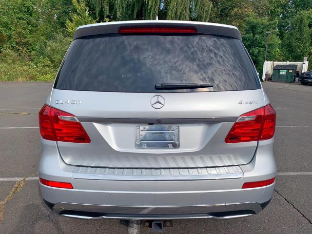 4JGDF7CE4DA257027 - 2013 MERCEDES-BENZ GL 450 4MA SILVER photo 6