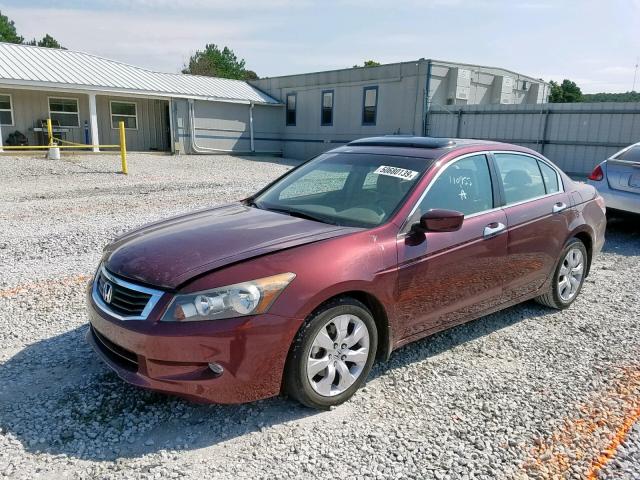 1HGCP36889A028810 - 2009 HONDA ACCORD EXL RED photo 2