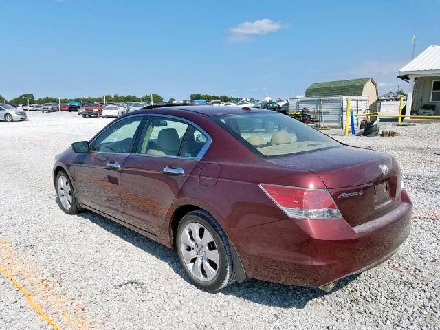 1HGCP36889A028810 - 2009 HONDA ACCORD EXL RED photo 3