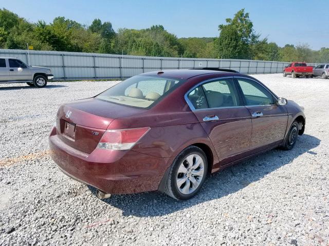 1HGCP36889A028810 - 2009 HONDA ACCORD EXL RED photo 4