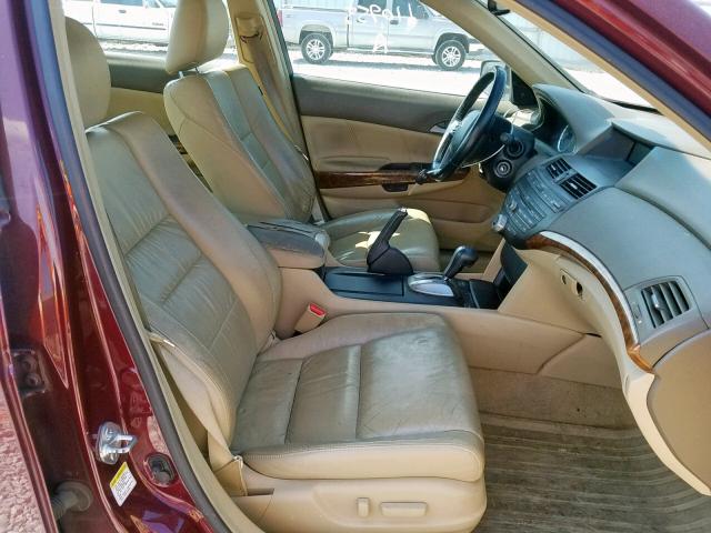 1HGCP36889A028810 - 2009 HONDA ACCORD EXL RED photo 5