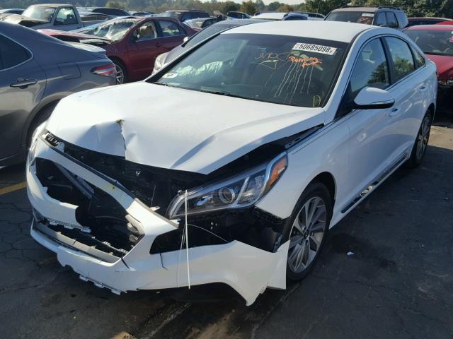 5NPE34AF7FH036416 - 2015 HYUNDAI SONATA SPO WHITE photo 2