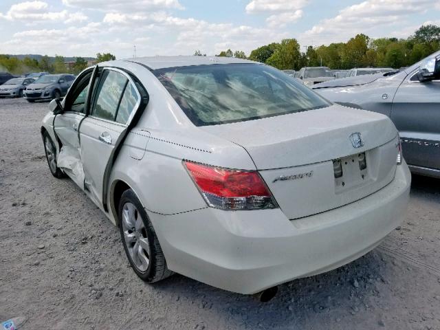 1HGCP36848A076321 - 2008 HONDA ACCORD EXL WHITE photo 3