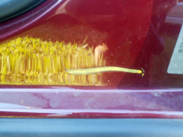 1G11C5SL2FF246319 - 2015 CHEVROLET MALIBU 1LT 红色 照片 9