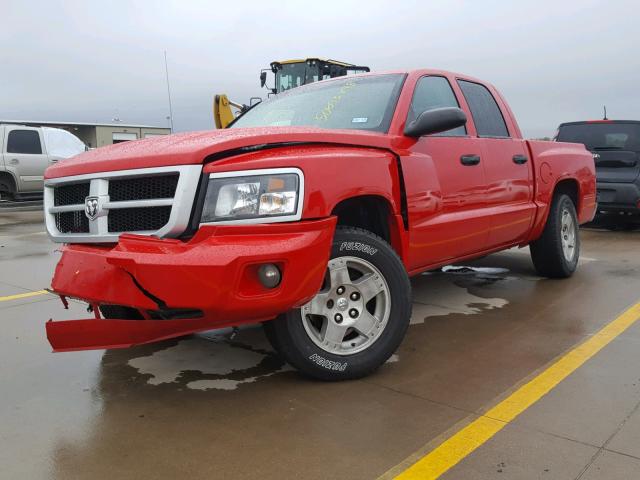 1D7HE38K08S599435 - 2008 DODGE DAKOTA SXT RED photo 2