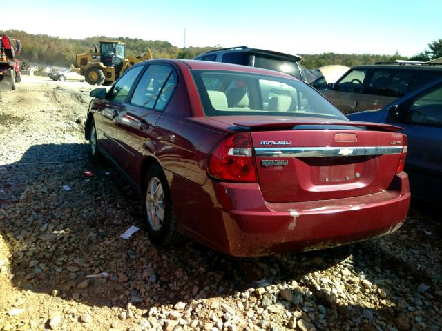 1G1ZT54875F147943 - 2005 CHEVROLET MALIBU LS 红色 照片 3