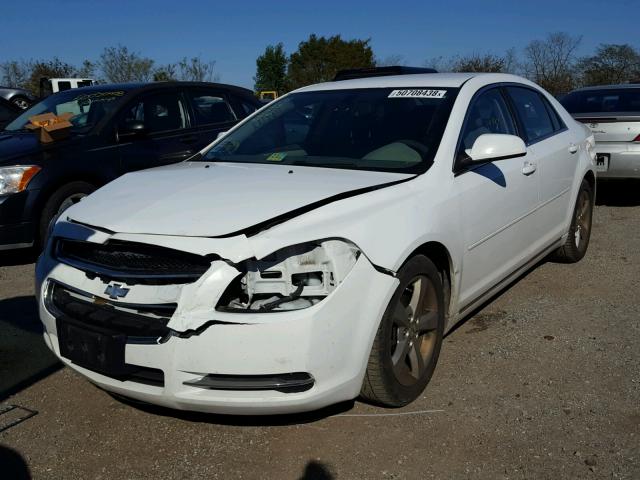 1G1ZC5E1XBF393186 - 2011 CHEVROLET MALIBU 1LT 白色 照片 2