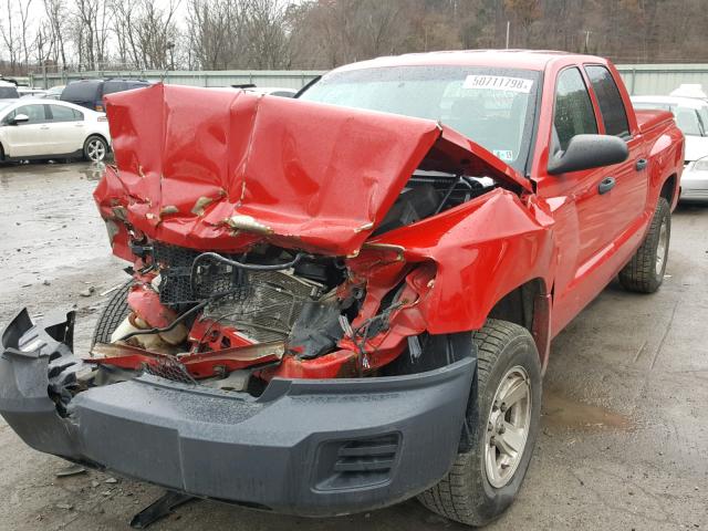 1D7HW38K58S615173 - 2008 DODGE DAKOTA SXT RED photo 2