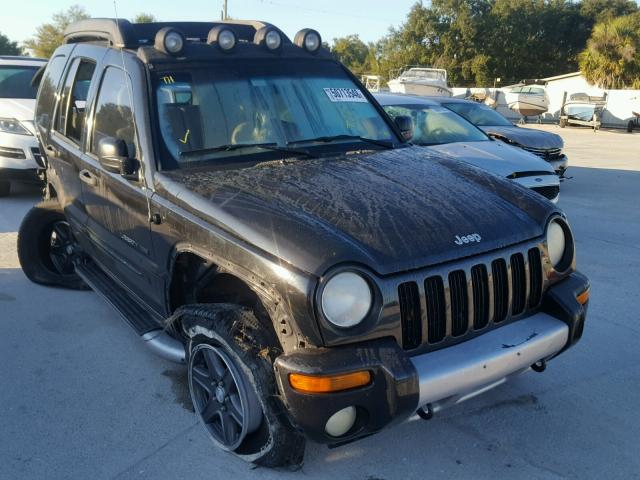 1J4GK38K73W507828 - 2003 JEEP LIBERTY RE BLACK photo 1