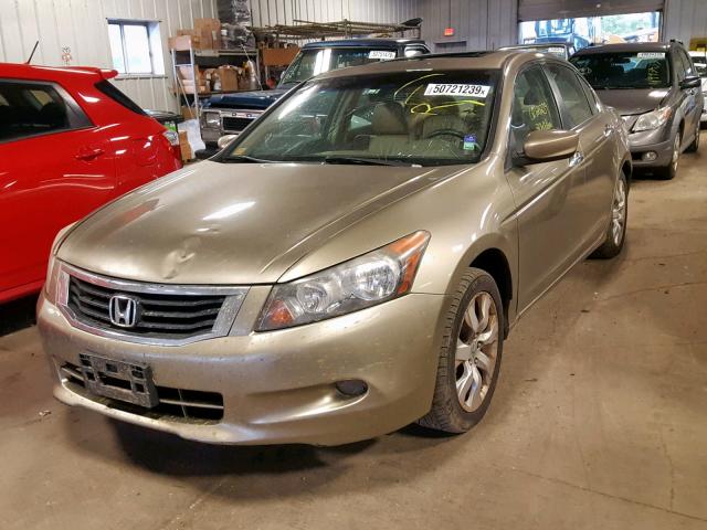 1HGCP36888A035495 - 2008 HONDA ACCORD EXL GOLD photo 2