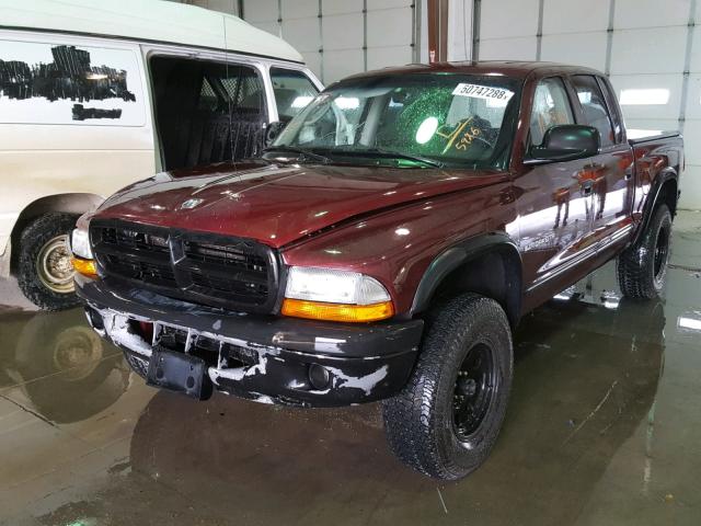 1B7GG2AN21S165926 - 2001 DODGE DAKOTA QUA MAROON photo 2