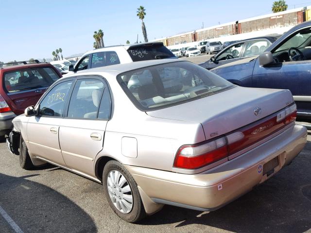 1NXBB02E0TZ459131 - 1996 TOYOTA COROLLA DX TAN photo 3