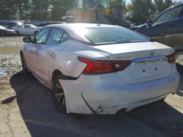 1N4AA6AP5GC442867 - 2016 NISSAN MAXIMA 3.5 WHITE photo 3