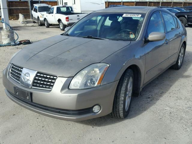 1N4BA41E04C859378 - 2004 NISSAN MAXIMA SE GOLD photo 2