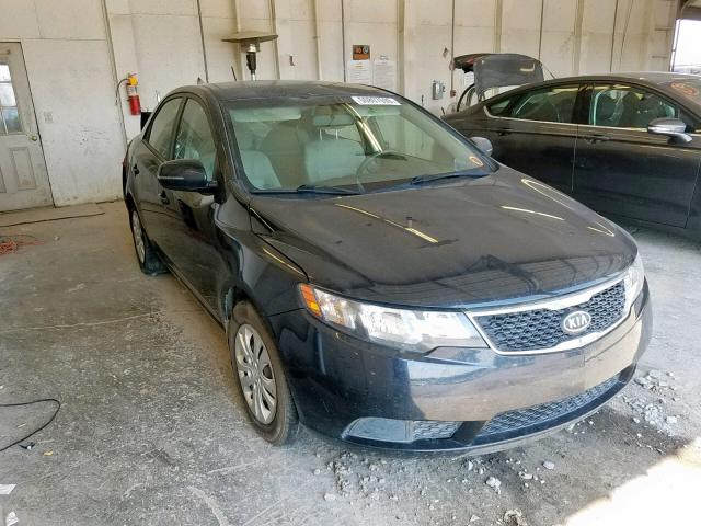 KNAFU4A24D5685003 - 2013 KIA FORTE EX BLACK photo 1