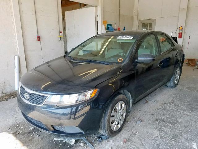 KNAFU4A24D5685003 - 2013 KIA FORTE EX BLACK photo 2