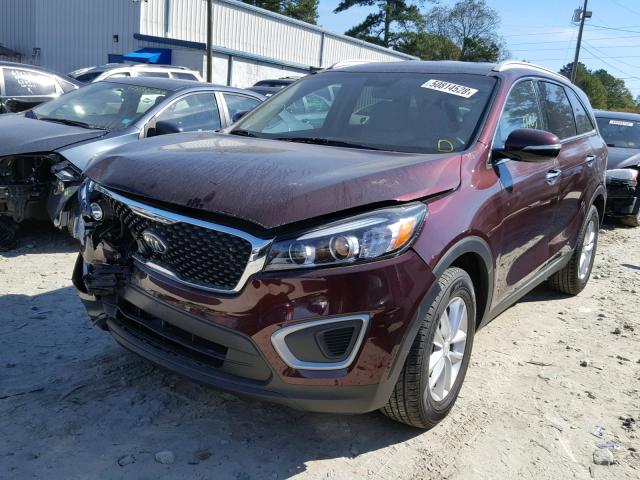 5XYPG4A30HG245154 - 2017 KIA SORENTO LX RED photo 2