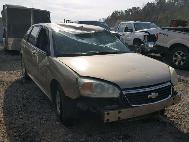 1G1ZT61856F253240 - 2006 CHEVROLET MALIBU MAX ოქროსფერი ფოტო 1
