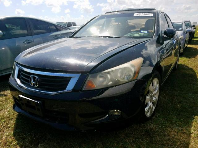 5KBCP3F89AB004060 - 2010 HONDA ACCORD EXL BLACK photo 2