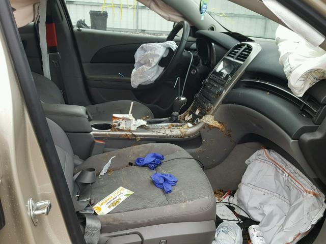 1G11B5SA6DF241283 - 2013 CHEVROLET MALIBU LS ოქროსფერი ფოტო 5