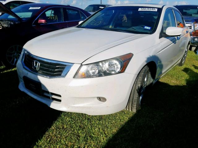 1HGCP3F85AA029854 - 2010 HONDA ACCORD EXL WHITE photo 2