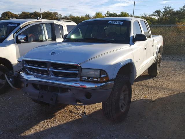 1B7HG48N82S724550 - 2002 DODGE DAKOTA QUA WHITE photo 2