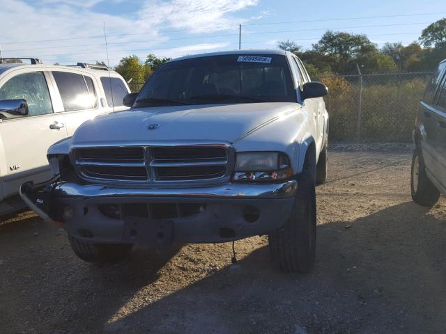 1B7HG48N82S724550 - 2002 DODGE DAKOTA QUA WHITE photo 9