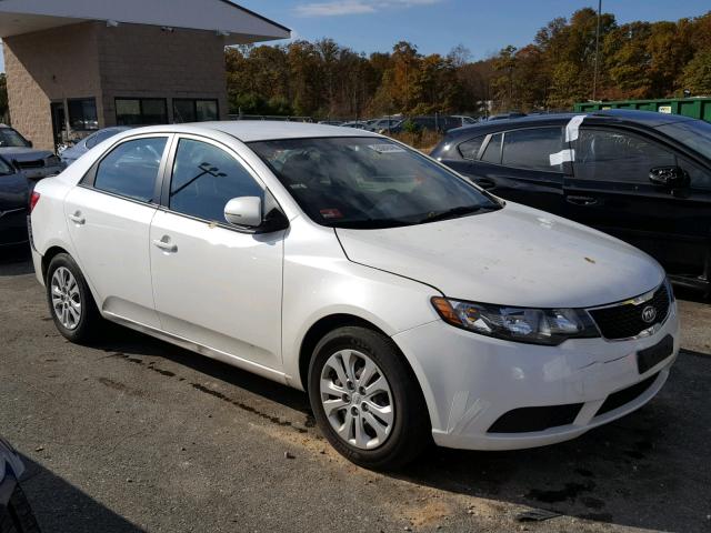 KNAFU4A21D5684598 - 2013 KIA FORTE EX WHITE photo 1