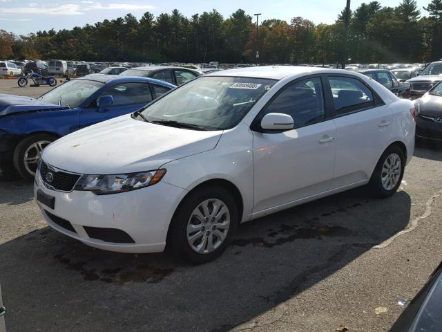 KNAFU4A21D5684598 - 2013 KIA FORTE EX WHITE photo 2