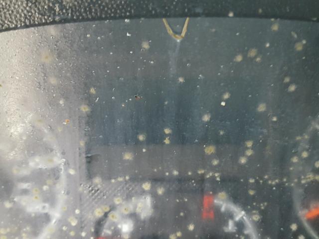 3C6TRVAG3FE514749 - 2015 RAM PROMASTER 白色 照片 8