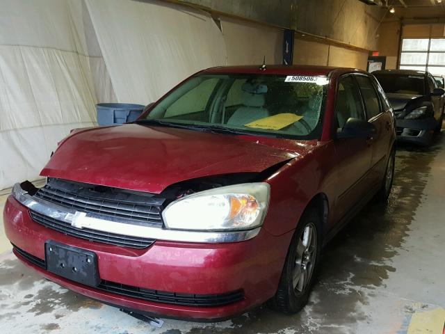 1G1ZT64835F160789 - 2005 CHEVROLET MALIBU MAX მუქწითელი ფოტო 2