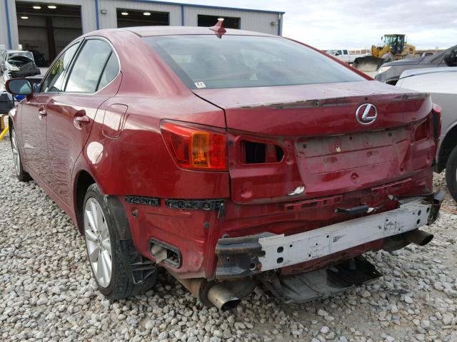 JTHCK262492027794 - 2009 LEXUS IS 250 RED photo 3