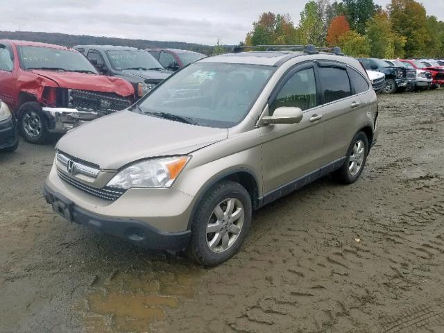 JHLRE48717C124033 - 2007 HONDA CR-V EXL GOLD photo 2