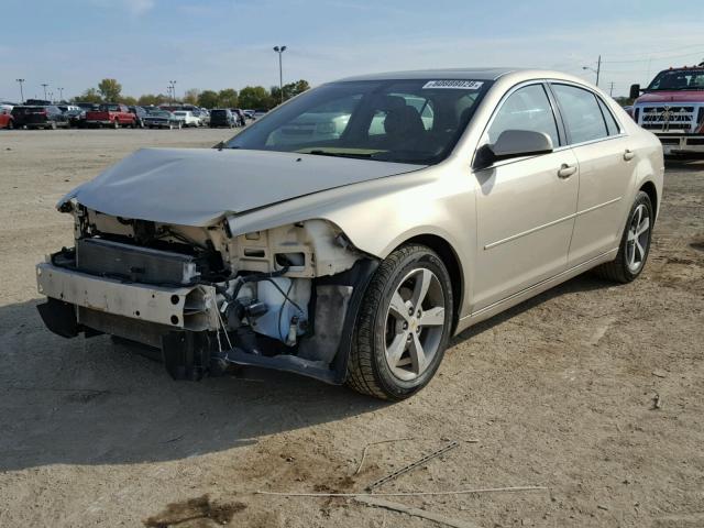 1G1ZC5E1XBF361189 - 2011 CHEVROLET MALIBU 1LT TAN photo 2