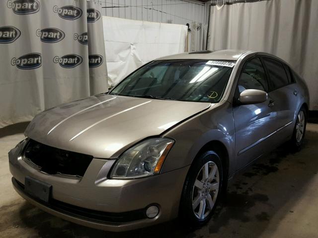 1N4BA41E75C824418 - 2005 NISSAN MAXIMA SE TAN photo 2