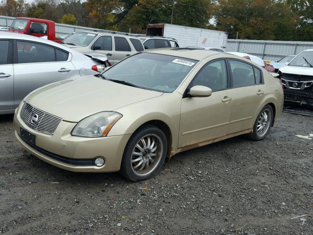 1N4BA41E54C824996 - 2004 NISSAN MAXIMA SE GOLD photo 2