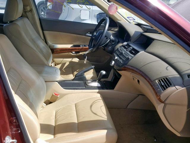 1HGCP26839A115511 - 2009 HONDA ACCORD EXL MAROON photo 5