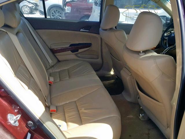 1HGCP26839A115511 - 2009 HONDA ACCORD EXL MAROON photo 6