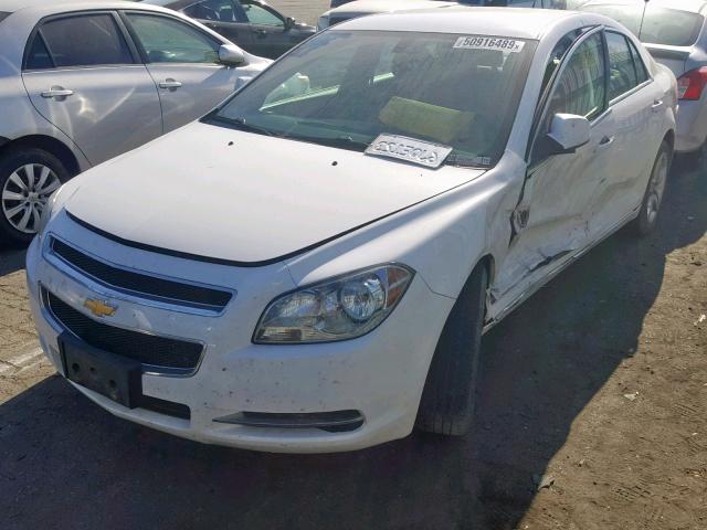 1G1ZC5EB5AF103931 - 2010 CHEVROLET MALIBU 1LT 白色 照片 2