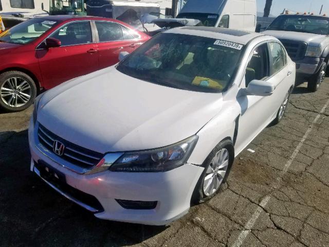 1HGCR2F89EA305284 - 2014 HONDA ACCORD EXL WHITE photo 2